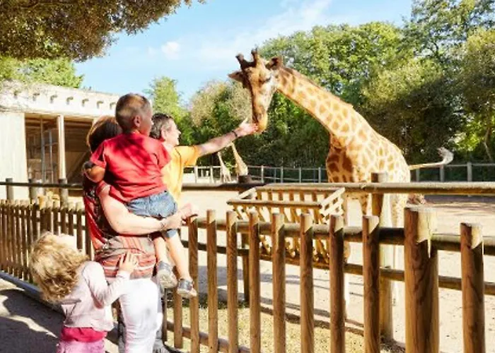 Agreable Maison 2 Avec Pisicine Et Stationnement Dans Un Quartier Calme - Fr-1-92-947 Semesterbostad Les Sables-dʼOlonne